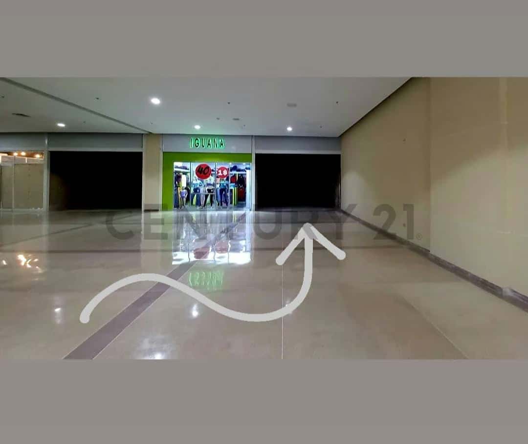 Vista 3