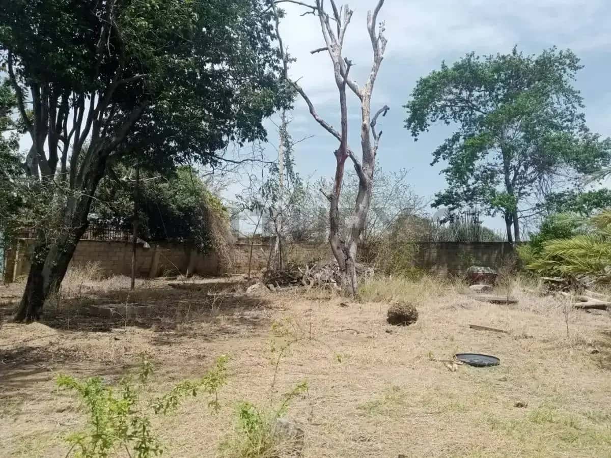 View 14