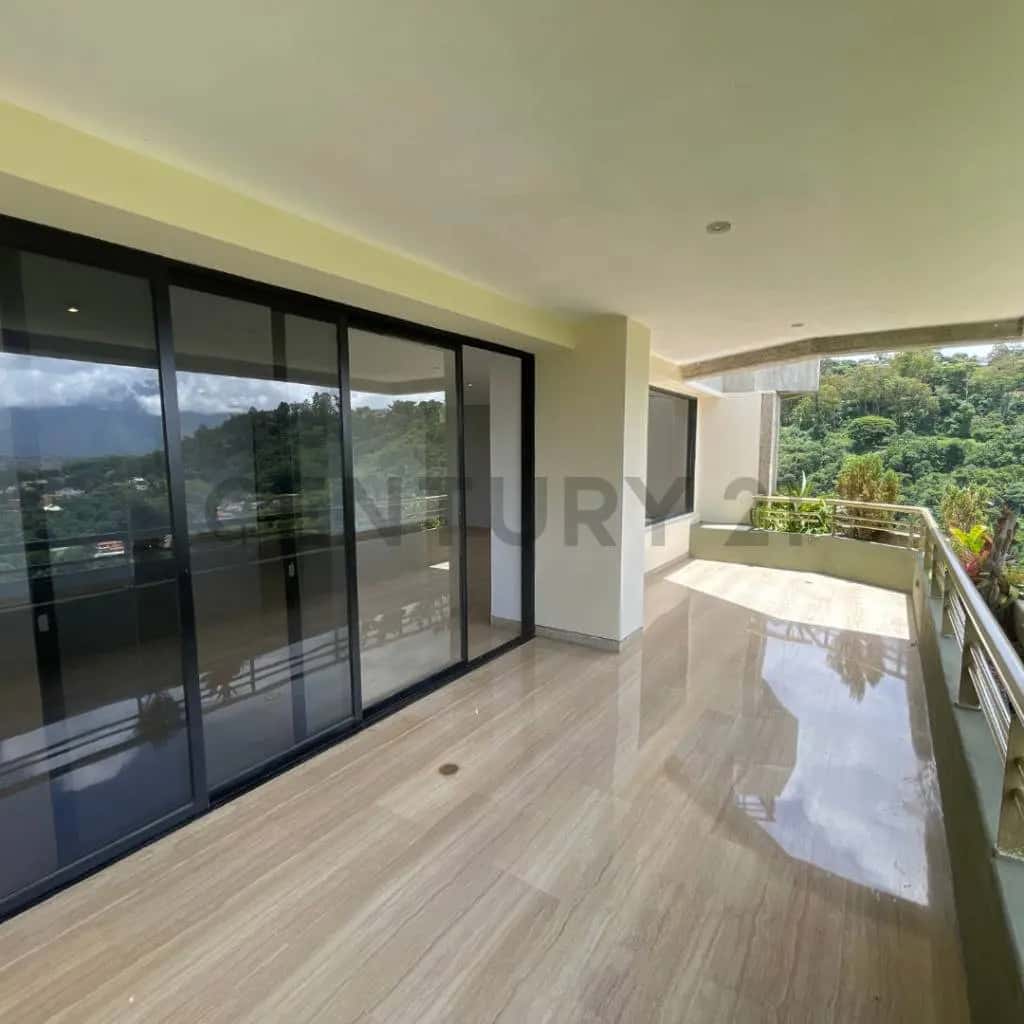 View 5
