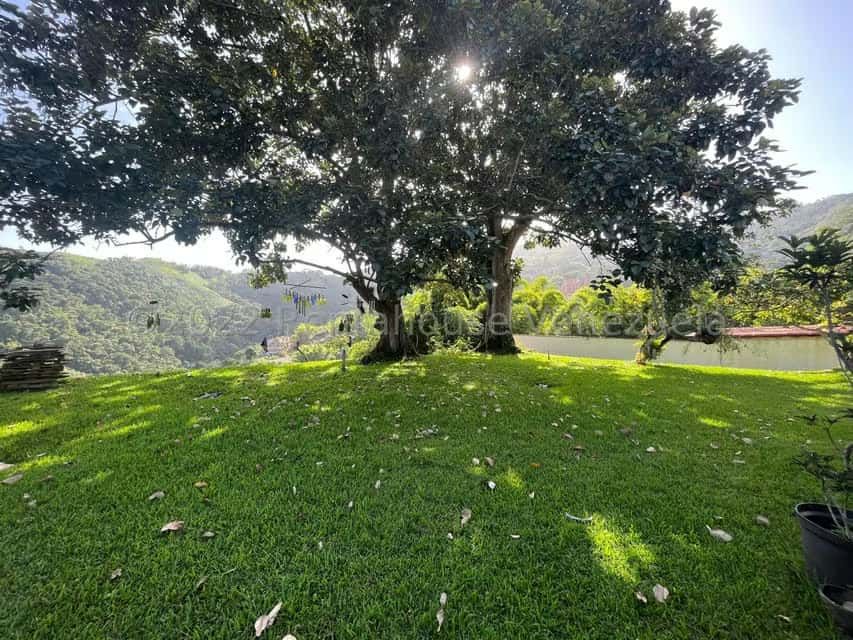 Vista 44