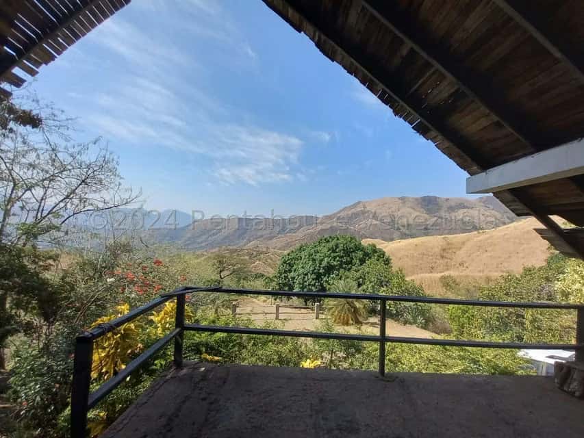 View 19