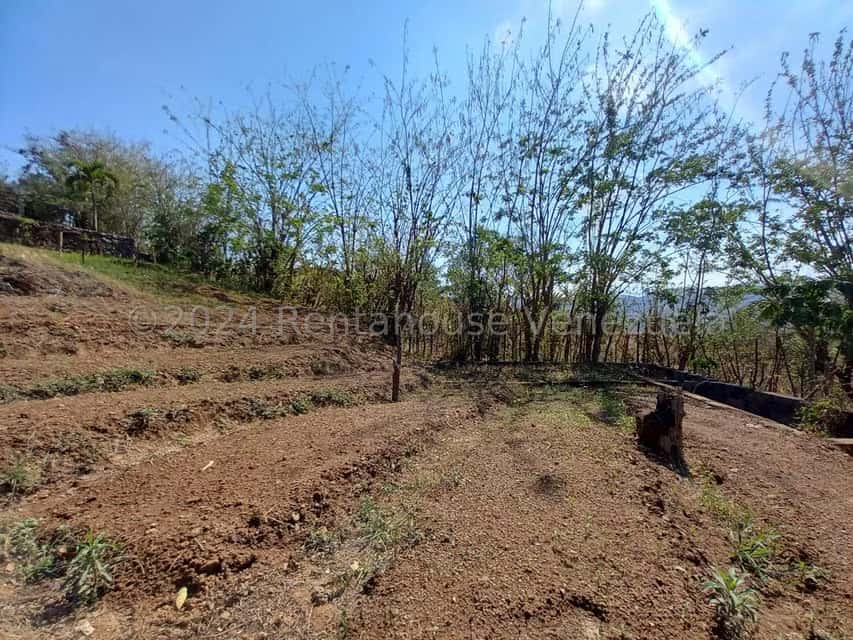 View 39