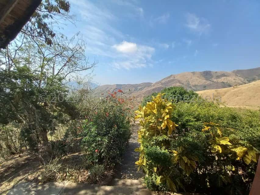 View 5