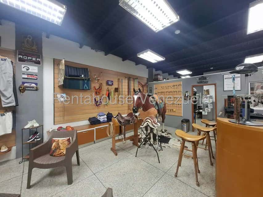 Vista 6
