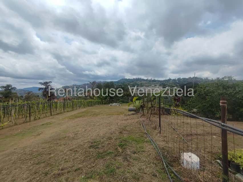 View 22