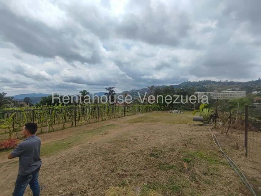 View 24