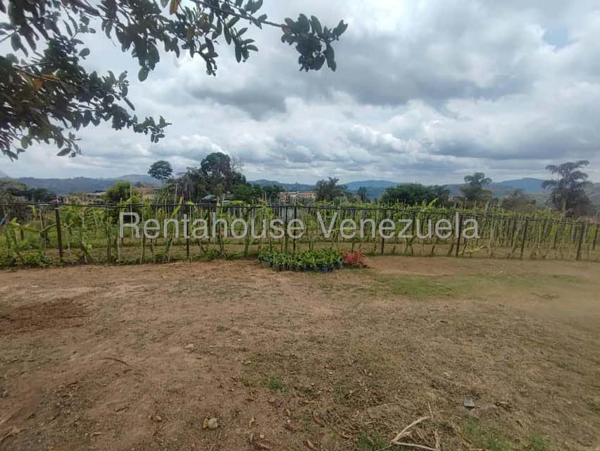 View 25