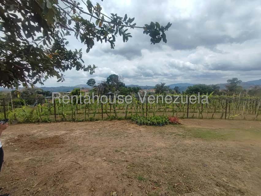 View 26
