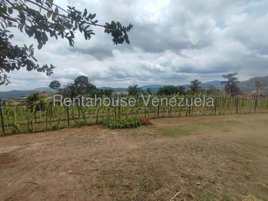 View 27