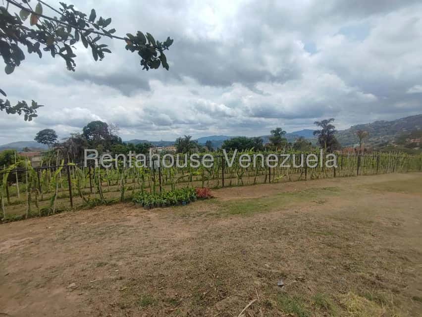 View 28