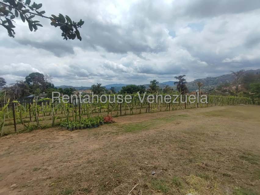View 29