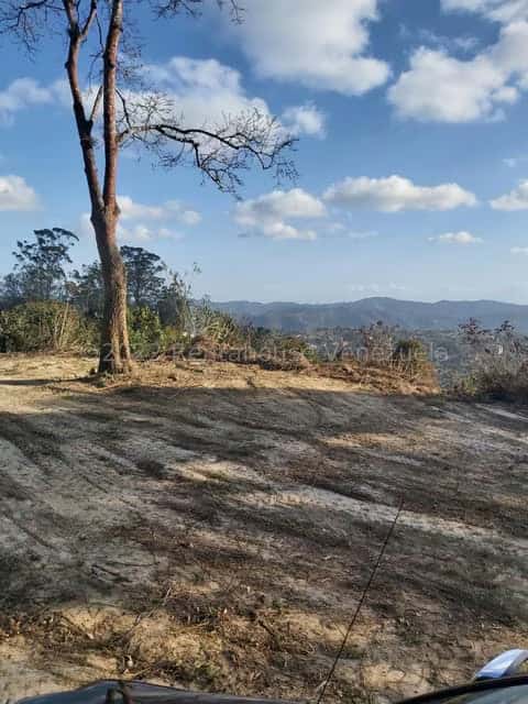 View 22