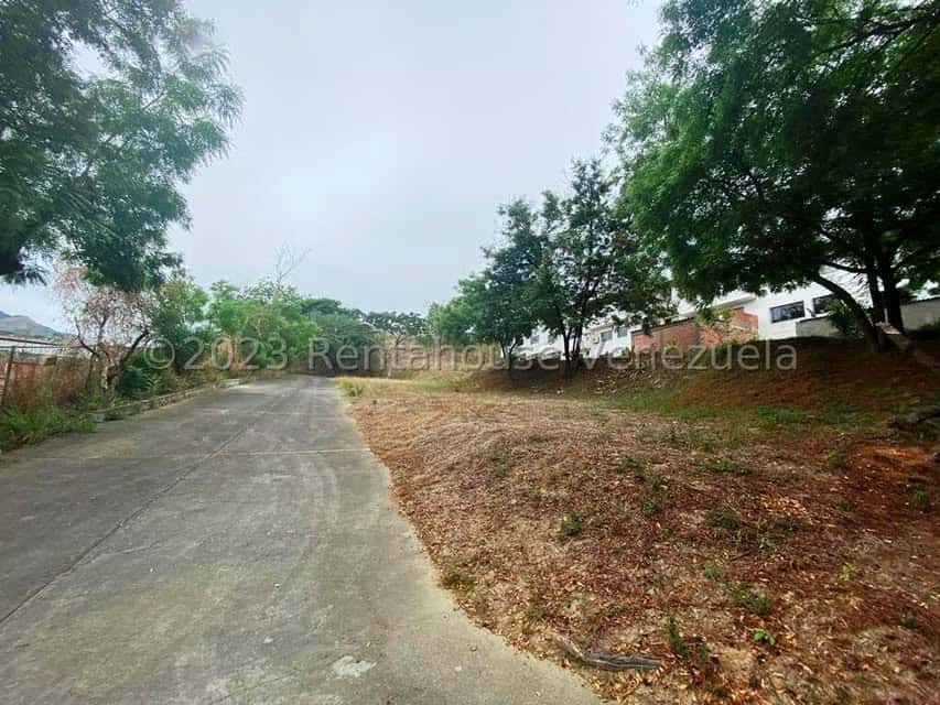 View 11