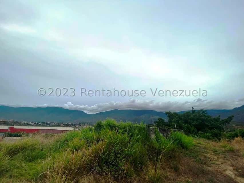 View 25