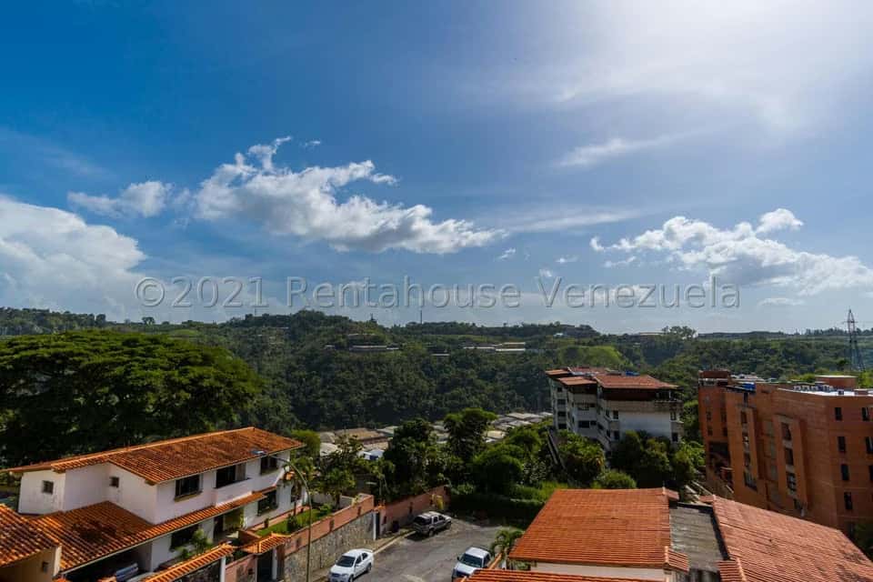 Vista 14