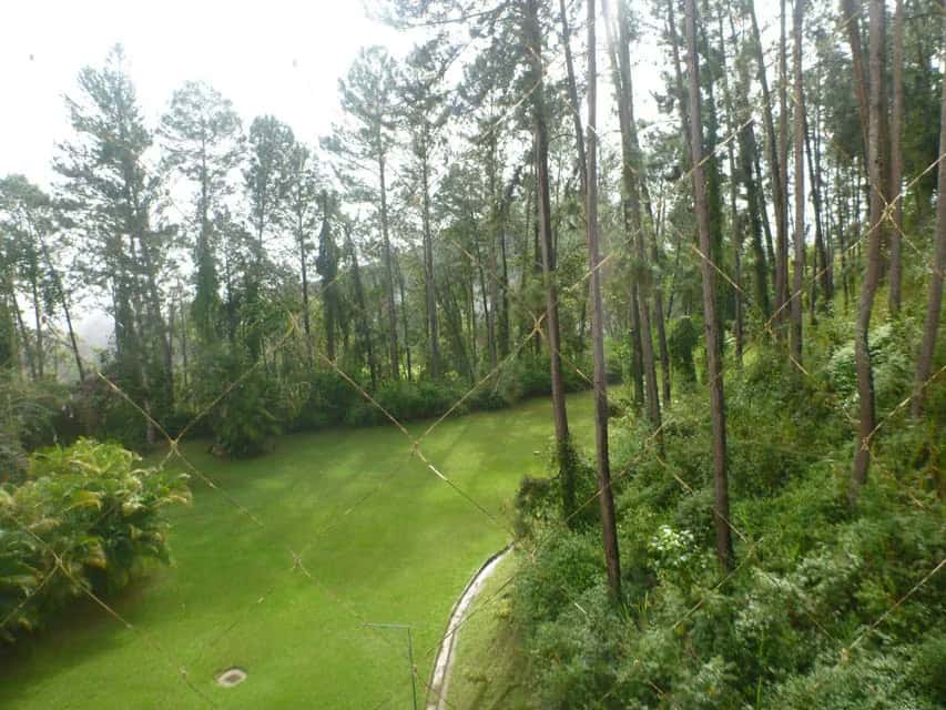 View 27