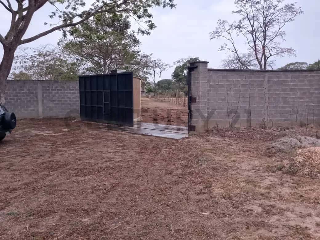 View 9