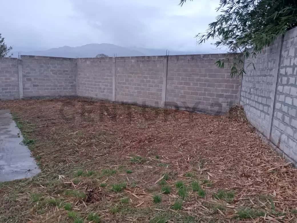 View 10
