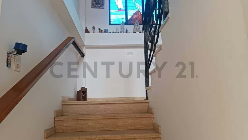 Vista 29