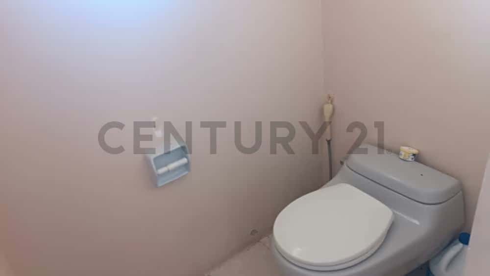 Vista 33