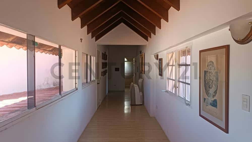 Vista 37
