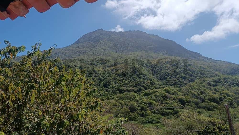 Vista 10