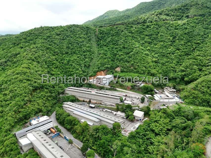 View 14