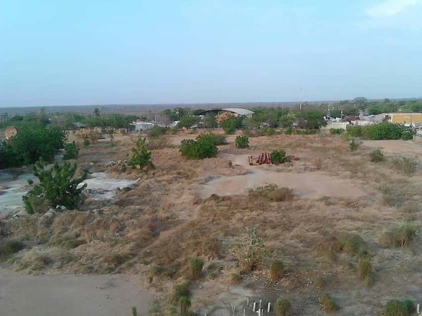 View 5