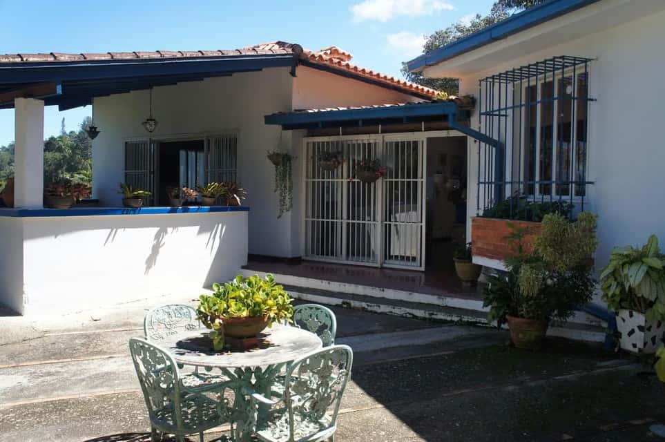 View 7