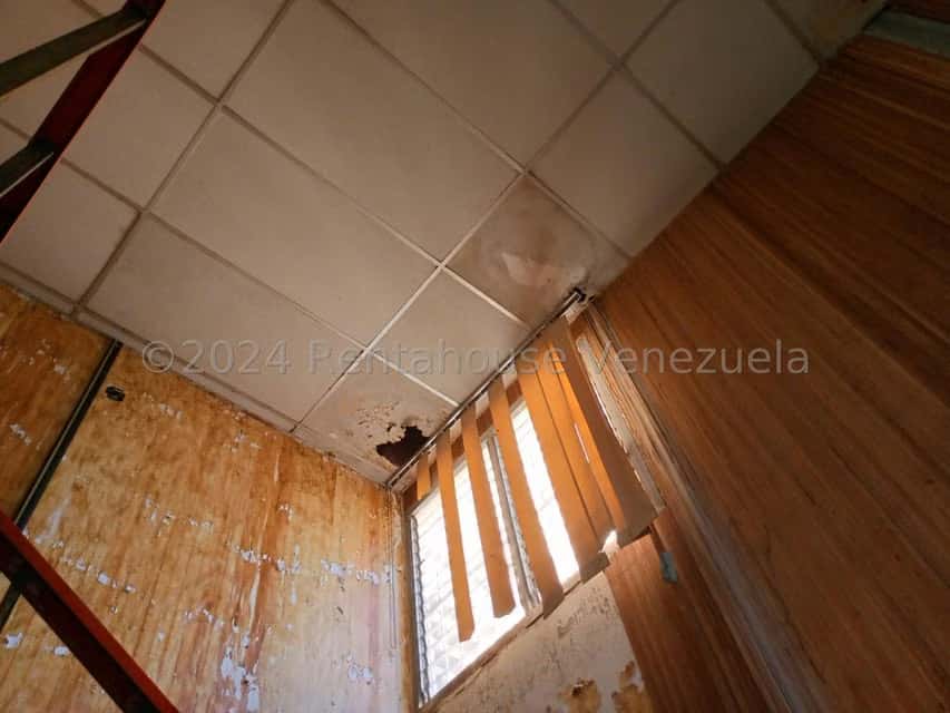 Vista 23