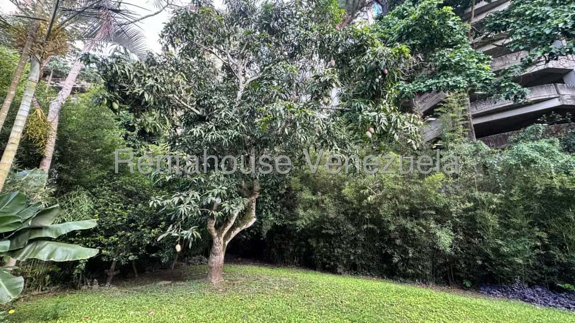 View 16