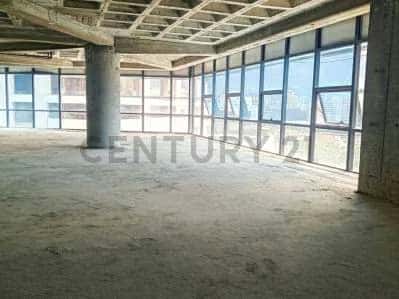 Vista 6