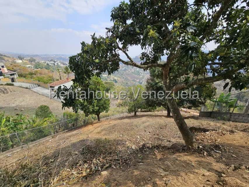 Vista 7