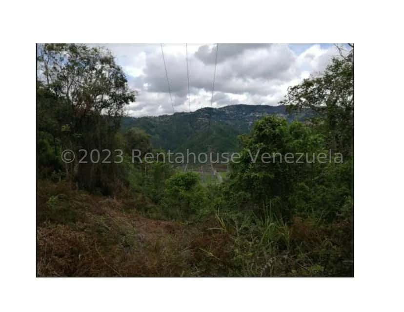 View 16