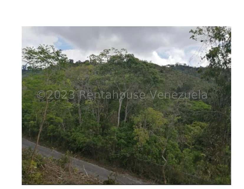 View 8