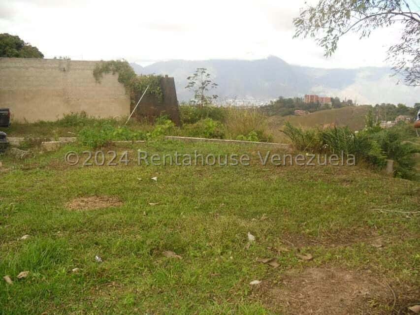 Vista 21