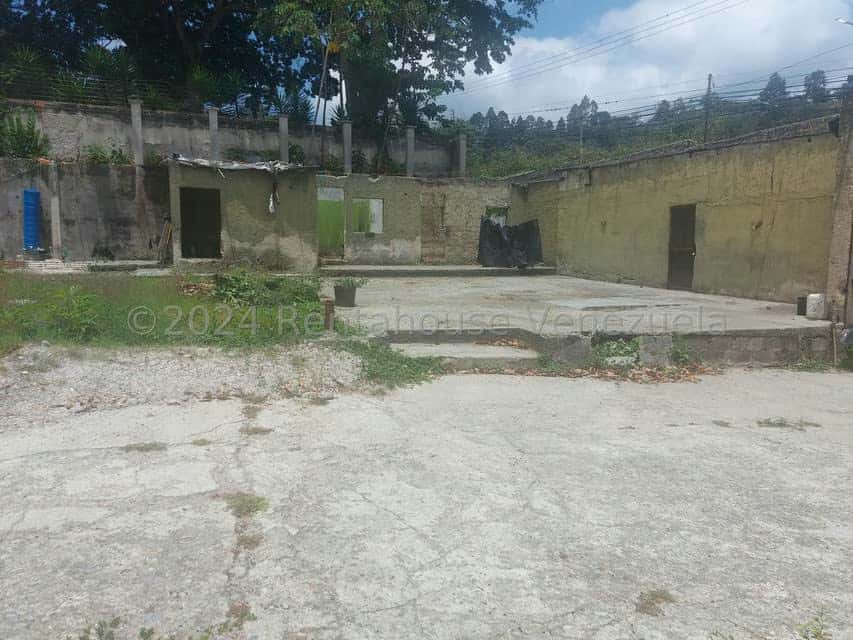 Vista 6