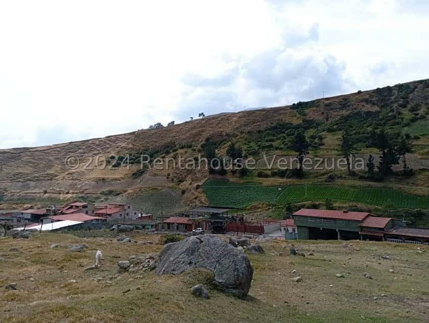 Vista 14