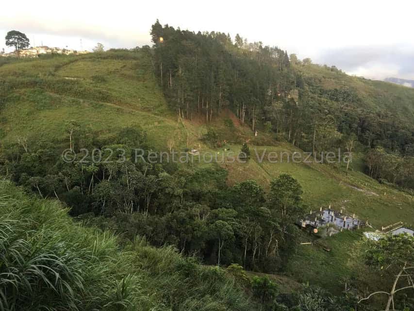 Vista 11
