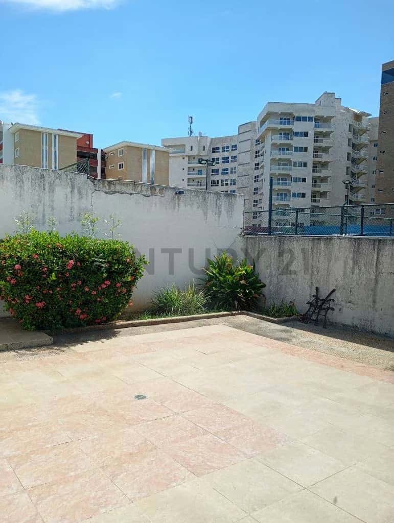 Vista 19