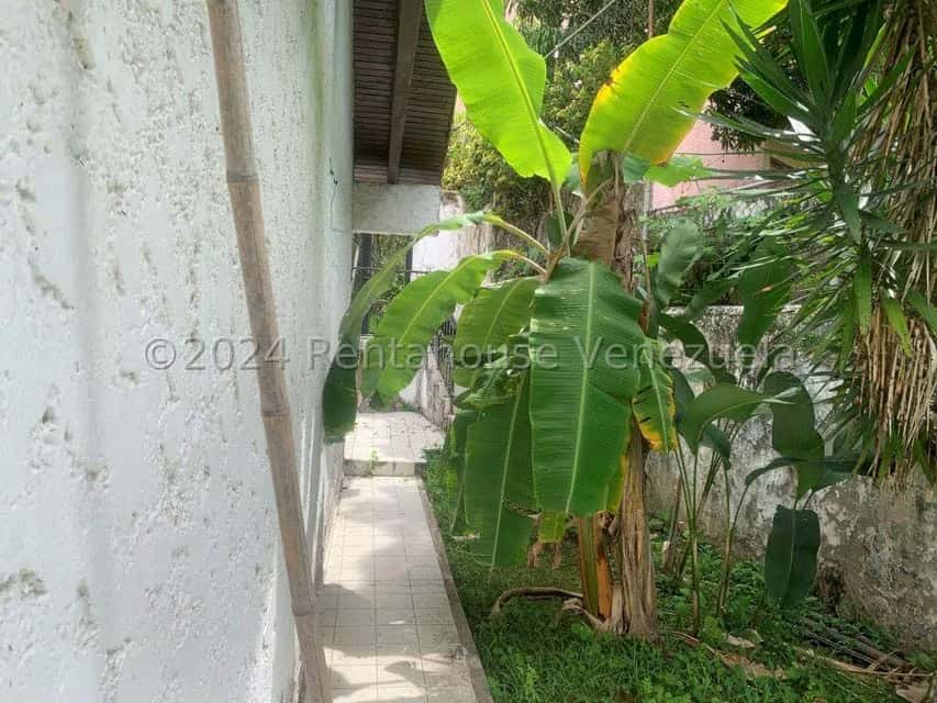 View 24