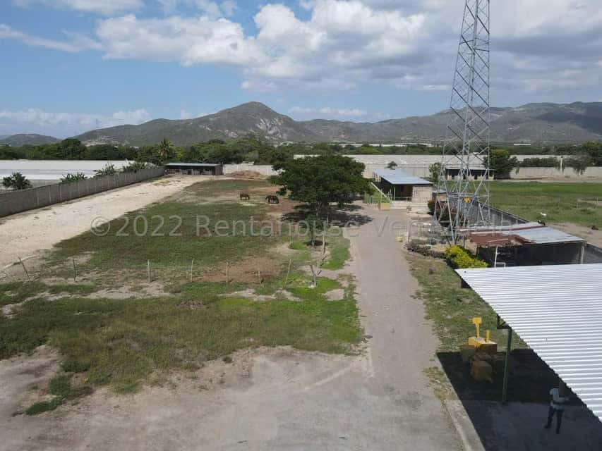 View 3