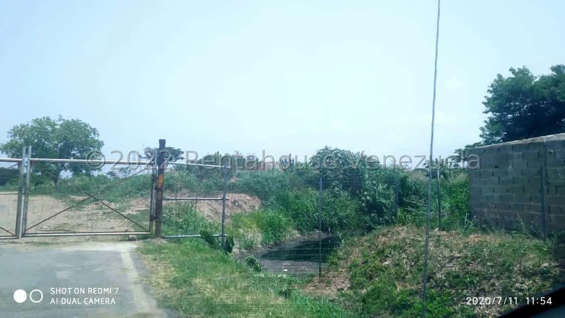 Vista 20
