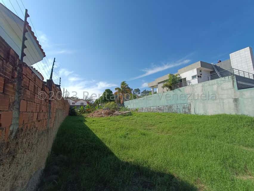 View 6
