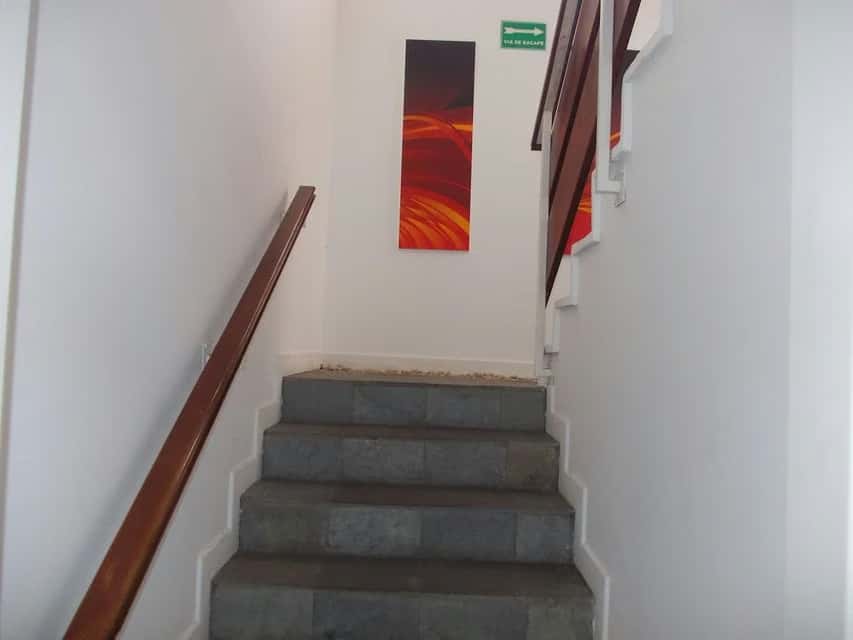 Vista 19