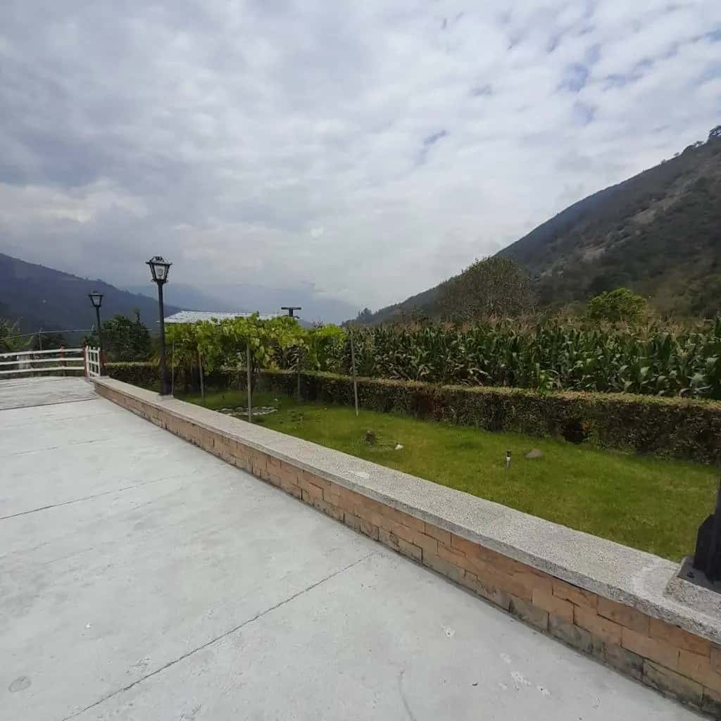 Vista 2