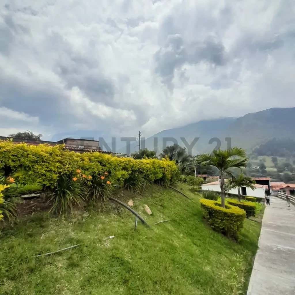 Vista 20