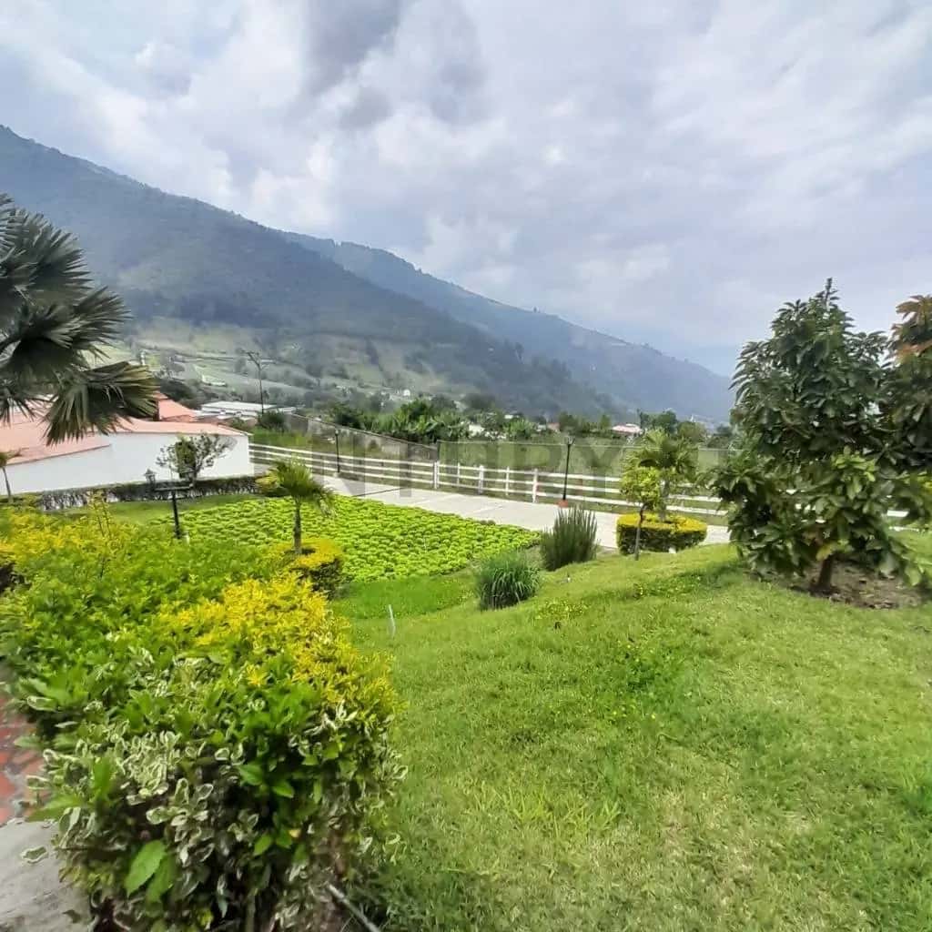 Vista 3