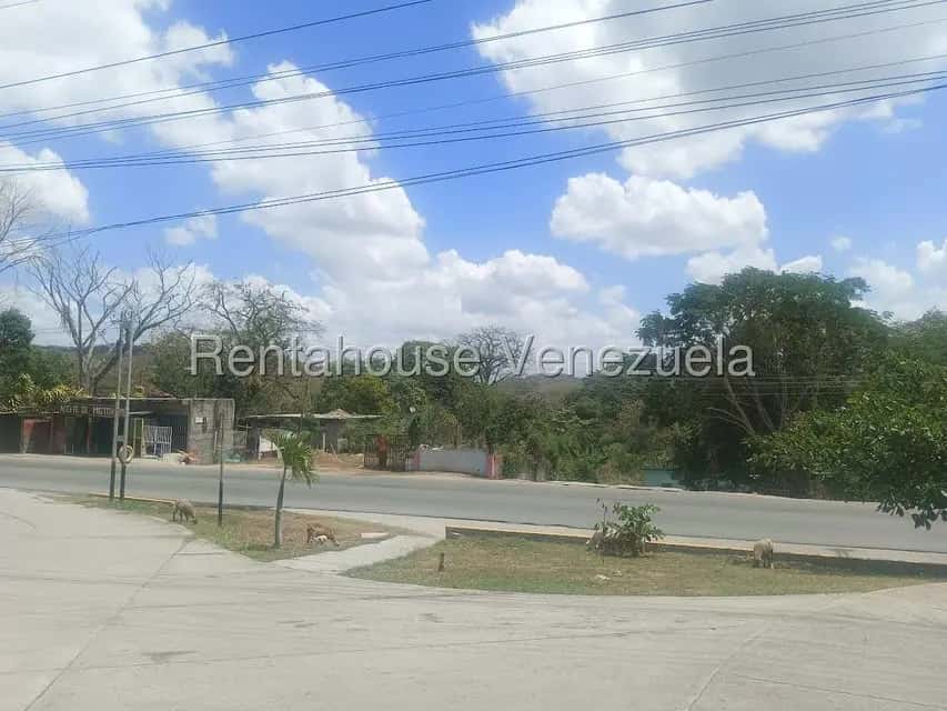 View 17
