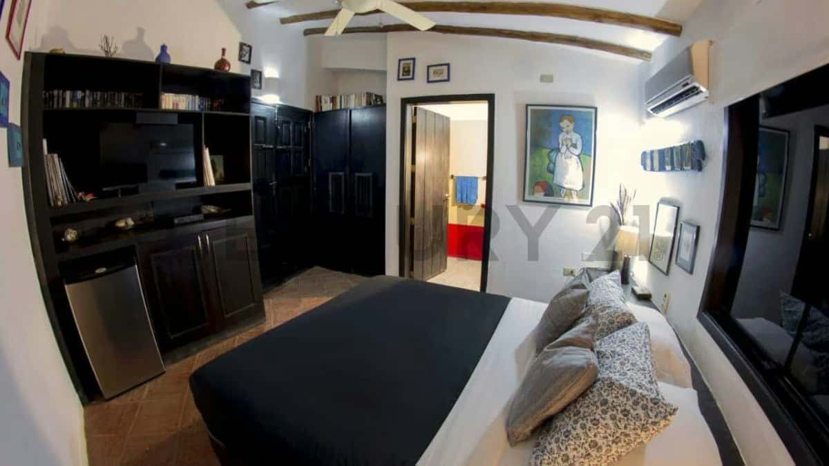 View 24
